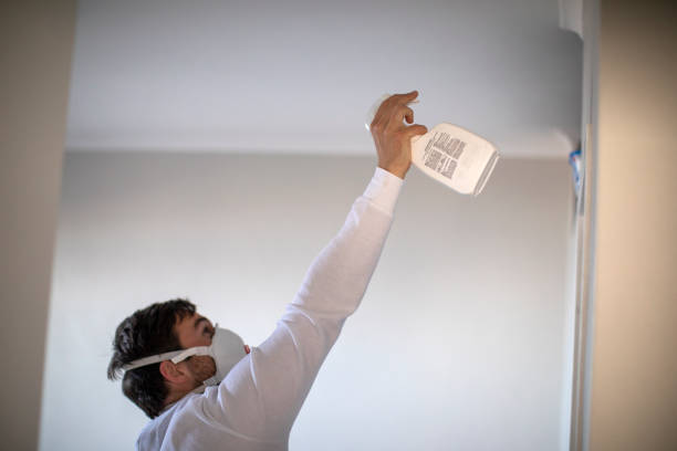 Best Mold Testing  in Haslet, TX