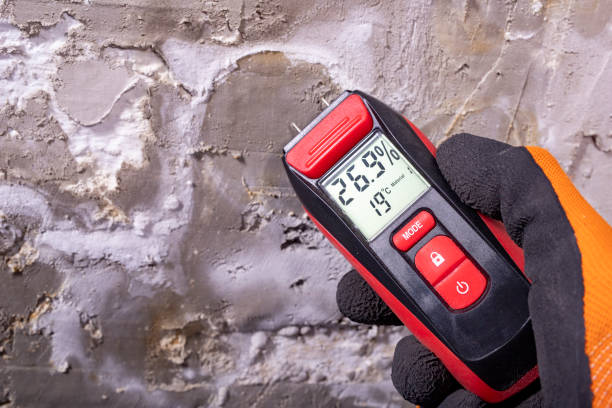 Best Mold Removal Near Me  in Haslet, TX