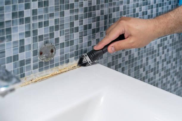 Best Professional Mold Removal  in Haslet, TX