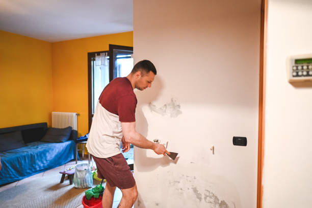 Best Best Mold Removal Companies  in Haslet, TX