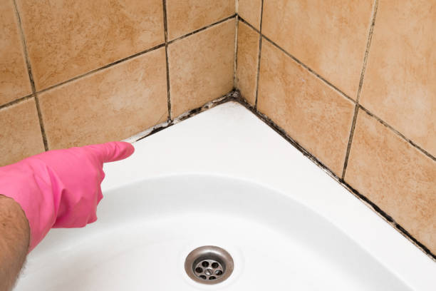 Best Residential Mold Removal  in Haslet, TX